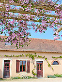 House in the flowers of the nature arch, Le Mans metropole, Sarthe, France