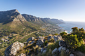 Panoramic view of the iconic Table Mountain and the Twelve Apostles (a UNESCO site) from Lion's Head. Cape Town, Western Cape, South African.