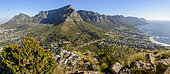 Panoramic view of the iconic Table Mountain and the Twelve Apostles (a UNESCO site) from Lion's Head. Cape Town, Western Cape, South African.