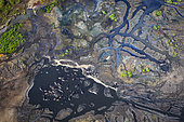 Aerial view of a group of hippos wallowing in muddy waters of iSimangaliso Wetland Park, in KwaZulu Natal, South Africa, surrounded by a vivid network of channels, vegetation, and wetland textures.