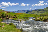 Mhlwazini River flows from the stunning Ukhahlamba Drakensberg Park near Cathedral Peak, KwaZulu Natal, South Africa. Ideal for nature, landscape, travel, and adventure photography projects.