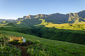 Breathtaking Drakensberg scenery at Cathedral Peak, Ukhahlamba Drakensberg Park, KwaZulu Natal, South Africa - majestic mountains, lush valleys, and pristine natural beauty.