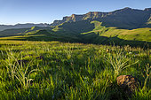 Breathtaking Drakensberg scenery at Cathedral Peak, Ukhahlamba Drakensberg Park, KwaZulu Natal, South Africa - majestic mountains, lush valleys, and pristine natural beauty.