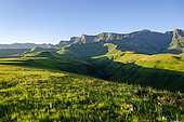 Breathtaking Drakensberg scenery at Cathedral Peak, Ukhahlamba Drakensberg Park, KwaZulu Natal, South Africa - majestic mountains, lush valleys, and pristine natural beauty.
