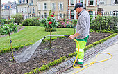 Gardener watering a flowerbed at the Jardin des Plantes in Le Mans, Sarthe, France