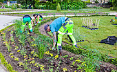 Gardeners planting flowers at the Jardin des Plantes, Le Mans, Sarthe, France