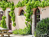 Façade of the Maison de l'arche de la nature, a table grape vine, Le Mans Métropole, Sarthe, France