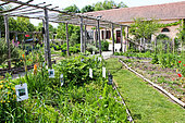 Jardin potager pédagogique et fleurs de l'Arche de la Nature, Le Mans, Sarthe, France