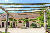 Façade of the Arche de la Nature house, a table grape vine, Jardin pédagogique l'Arche de la Nature, Le Mans Métropole, Sarthe, France