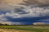 Heavy skies before the storm, Namibia, Africa
