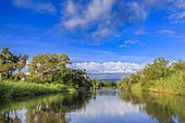 Kavango East landscape, Namibia, Africa