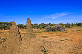 Termite mounds, Otjozondjupa, Namibia, Africa