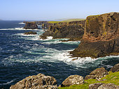 The famous cliffs and sea stacks of Eshaness (Esha Ness), part of the Geopark Shetland and geologically a volcano. Europe, Great Britain, Scotland, Northern Isles, Shetland