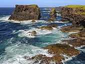The famous cliffs and sea stacks of Eshaness (Esha Ness), part of the Geopark Shetland and geologically a volcano. Europe, Great Britain, Scotland, Northern Isles, Shetland