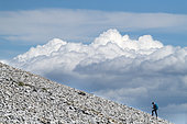 Climb the Ventoux on foot, Mont Ventoux, provence, France