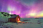 Purple northern lights over Cape Swainson cabin, Scoresby Strait, ScoresbySund, Greenland