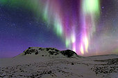 Purple auroras over Cape Swainson, Scoresby Strait, ScoresbySund, Greenland