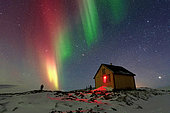 Northern lights over Cape Swainson cabin, Scoresby Strait, ScoresbySund, Greenland