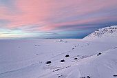 Cape Brewster huts at dusk. Cape Brewster, Scoresby Strait, ScoresbySund, Greenland