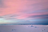 ScoresbySund at dusk. Cape Brewster, Scoresby Strait,Greenland