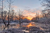 Winter landscape of the Loire Valley Nature Reserve at dawn towards La Charité, Nièvre, France