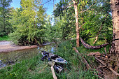 Bivouac on a branch of the Loire, Cosne sur Loire region, Nièvre, France