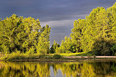 Sunrise on an island in the Loire Valley nature reserve, France