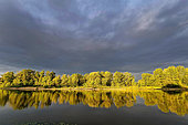 Sunrise on an island in the Loire Valley nature reserve, France
