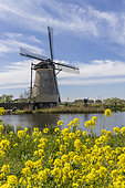 Windmills at Kinderdijk, South Holland, Netherlands