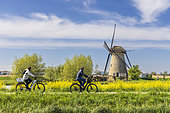 Windmills at Kinderdijk, South Holland, Netherlands