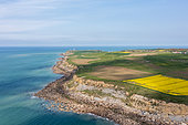 Cape Gris-Nez in spring, Opal Coast, Pas-de-Calais, France