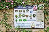 Educational panel on birds in the vegetable garden at Bonnetable, Sarthe, France