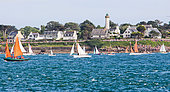 Semaine du Golfe du Morbihan, more than a thousand boats sail the waters of the small Mor Bihan sea, the most beautiful maritime festival in Brittany between Vannes, Ile aux Moines, Port Navalo and the islands of Houat and Hoedic and Larmor Baden etc, Southern Brittany, France.