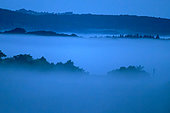 Fog banks at dawn over the Loire Valley, France