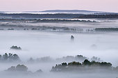 Fog banks over the Loire Valley at dawn near Pouilly-sur-Loire, France