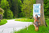 Marmots for a clean nature sign on a road in the Jura Vaudois, Switzerland