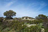 Dolmen du Mont-Rivincu. At the entrance to the Agriates desert, the Dolmens de Casta are located to the south-west of Monte Rivincu (356 m), almost a kilometer from the summit, on the former military site of Casta-Nord. The site includes megalithic funerary monuments (dolmens and chests) and the remains of a Neolithic settlement. Haute-Corse, France