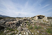Dolmen du Mont-Rivincu. At the entrance to the Agriates desert, the Dolmens de Casta are located to the south-west of Monte Rivincu (356 m), almost a kilometer from the summit, on the former military site of Casta-Nord. The site includes megalithic funerary monuments (dolmens and chests) and the remains of a Neolithic settlement. Haute-Corse, France