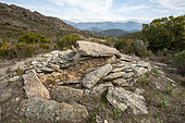 Dolmen du Mont-Rivincu. At the entrance to the Agriates desert, the Dolmens de Casta are located to the south-west of Monte Rivincu (356 m), almost a kilometer from the summit, on the former military site of Casta-Nord. The site includes megalithic funerary monuments (dolmens and chests) and the remains of a Neolithic settlement. Haute-Corse, France