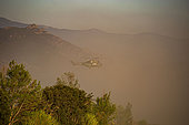 Scrubland fire, French Army Puma 20 helicopter fighting a fire in 2022, Oletta - Olmeta-di Tuda, Haute-Corse, France