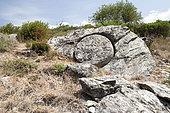 Unfinished millstone. The Annunziata hiking trail leads to a beautiful Genoese bridge and an unfinished millstone. Haute-Corse, France