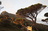 Seneca Tower on its rocky outcrop and Santa Lucia Chapel in Luri, Cap Corse, Haute-Corse, France