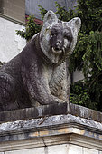 Bear in front of the entrance, gate, Bern Historical Museum and Einstein Museum, Bern, Canton of Bern, Switzerland