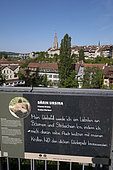 Information panel about brown bears, view of the opposite bank of the Aare river, the old town, bear park, Bern, Canton of Bern, Switzerland