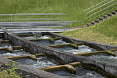 Fish pass, K hydroelectric power station from 2016, Kembs, Haut Rhin, France
