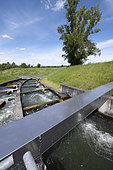 Fish pass, K hydroelectric power station from 2016, Kembs, Haut Rhin, France