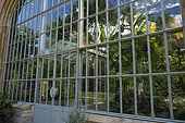 Greenhouses from 1898, tropical and exotic plants, Metz botanical garden, Montigny les Metz, Moselle, France