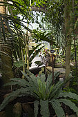 Greenhouses from 1898, tropical and exotic plants, Metz botanical garden, Montigny les Metz, Moselle, France