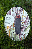 Sign in the grass, This is the Monk's (Cantharis rustica), Metz botanical garden, Montigny les Metz, Moselle, France
