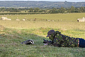Badger (Meles meles) and photographer in the British countryside, England